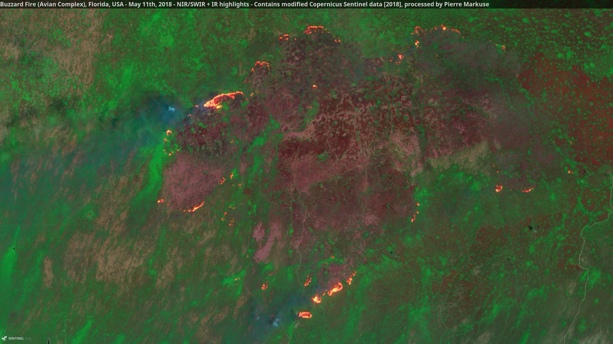 Pierre_Markuse's tweet photo. Buzzard Fire🔥 (Avian Complex) #Florida #USA🇺🇸 11 May 2018 NIR/SWIR + IR highlights #Copernicus #Sentinel-2A🛰️ Full-size: https://t.co/wAFuoWUoyp #BuzzardFire #wildfire #AvianComplex https://t.co/dDJQqev9d0