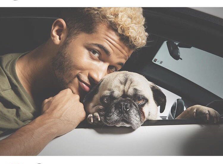 Skye_Reneee's tweet photo. #ripsora I may not have known you but the way @Jordan_Fisher loved you was the purest form I hope you’re no longer suffering and you’ll always be in everyone’s heart https://t.co/g2NHasyJEQ