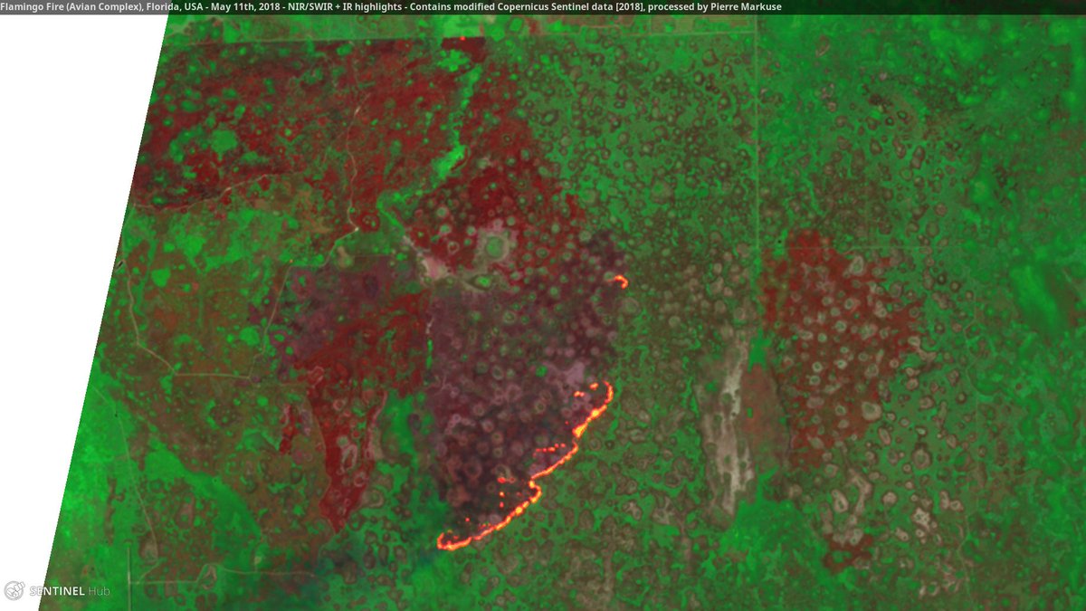 Pierre_Markuse's tweet photo. Flamingo Fire🔥 (Avian Complex) #Florida #USA🇺🇸 11 May 2018 NIR/SWIR + IR highlights #Copernicus #Sentinel-2A🛰️ Full-size: https://t.co/CcBCekIpRu #FlamingoFire #wildfire #AvianComplex https://t.co/CriYZi4jLF