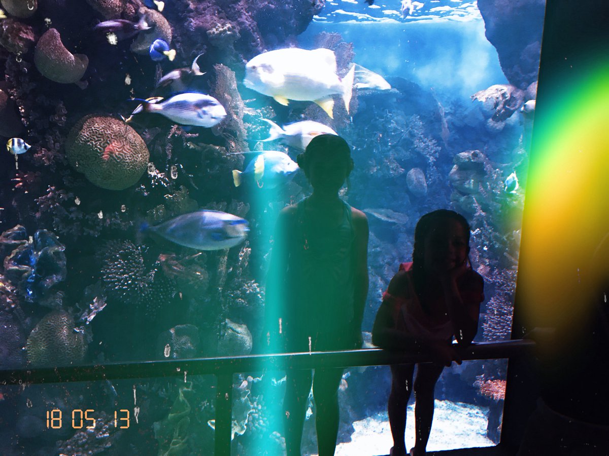 AlwaysAllieT's tweet photo. We went to the zoo today 💕 https://t.co/ZrWe1oWivw