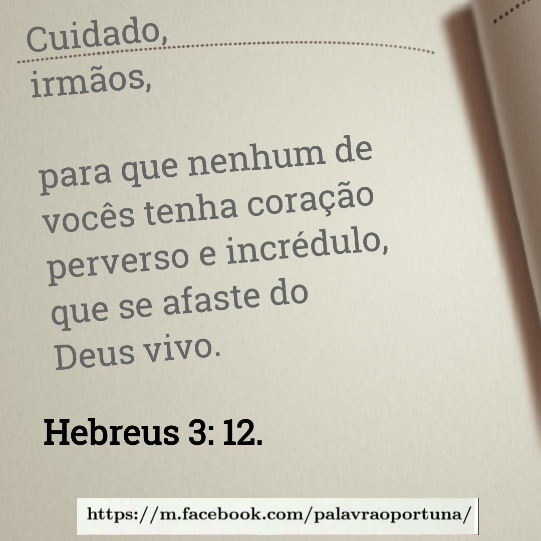 Silvana (@silvana_beta) on Twitter photo 