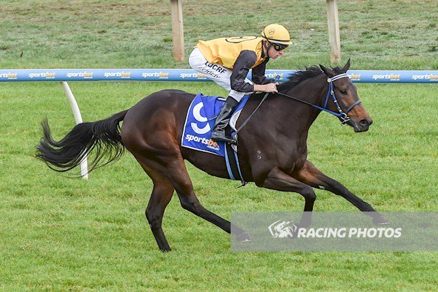 A Super #VOBIS bonus for the John Salanitri trained 2yo GANGIKA (SEPOY) when winning on debut yesterday at Ballarat with Jordan Childs aboard. She is a homebred of Vic's Hirsch family