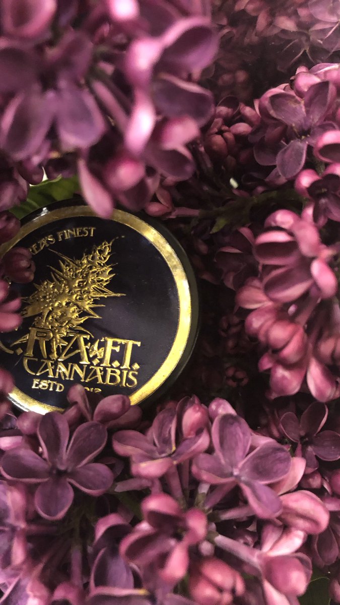 C.R.A.F.T. Cannabis (@craftcannabis) on Twitter photo 