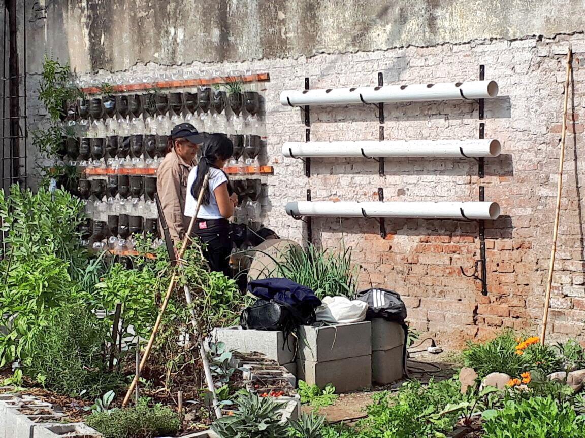 mvismara_'s tweet photo. Siguen diversificandose los sistemas de cultivo vertical propuestos en capacitaciones de #HacemosFuturo en San Salvador de Jujuy. Luego de huertas verticales con botellas y caños de PVC se realizará una capacitación especial en Paredes Verdes @JujuySEOM @MDSNacion #ACDI #INENCO https://t.co/lKfVaHiGoA