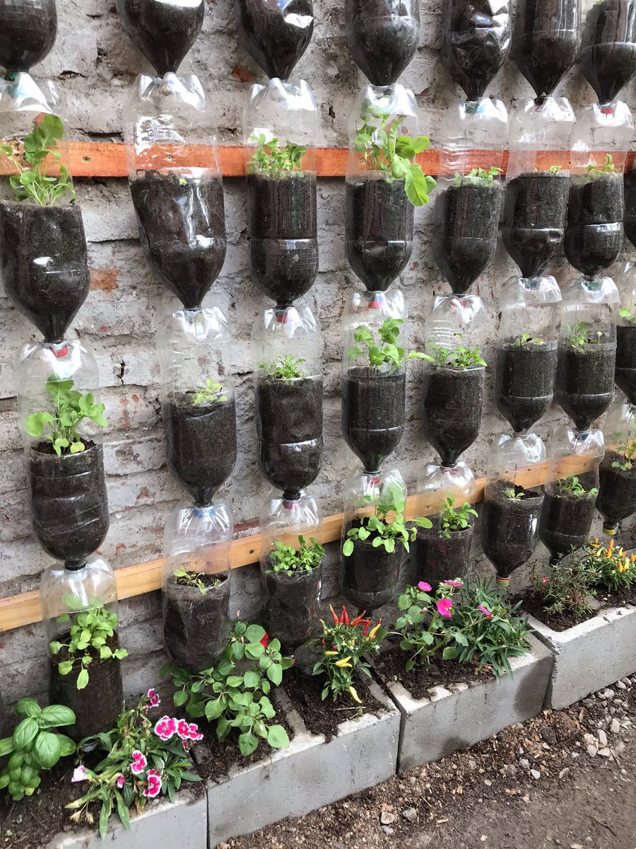 mvismara_'s tweet photo. Siguen diversificandose los sistemas de cultivo vertical propuestos en capacitaciones de #HacemosFuturo en San Salvador de Jujuy. Luego de huertas verticales con botellas y caños de PVC se realizará una capacitación especial en Paredes Verdes @JujuySEOM @MDSNacion #ACDI #INENCO https://t.co/lKfVaHiGoA