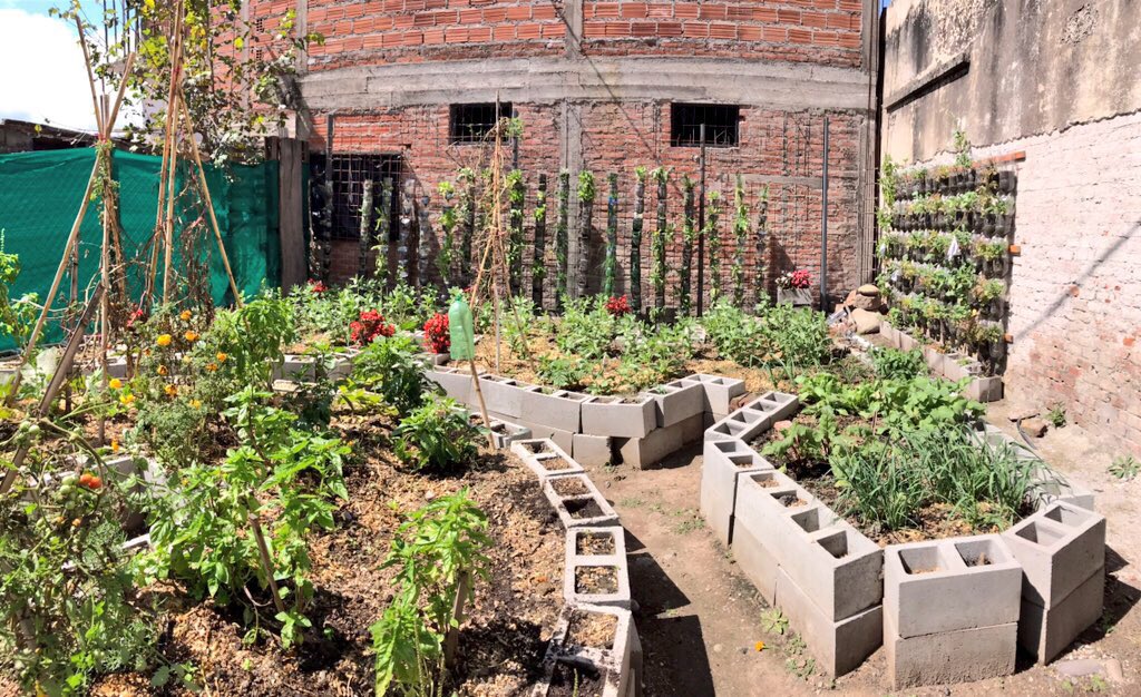 mvismara_'s tweet photo. Siguen diversificandose los sistemas de cultivo vertical propuestos en capacitaciones de #HacemosFuturo en San Salvador de Jujuy. Luego de huertas verticales con botellas y caños de PVC se realizará una capacitación especial en Paredes Verdes @JujuySEOM @MDSNacion #ACDI #INENCO https://t.co/lKfVaHiGoA