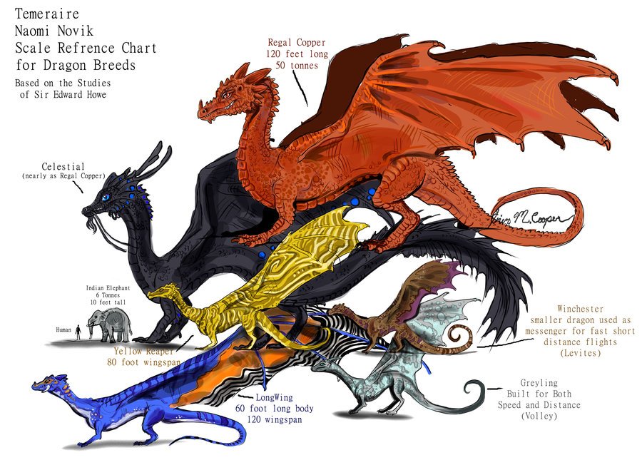 ever looked at s dragon breeds from her temeraire series the napoleonic war...