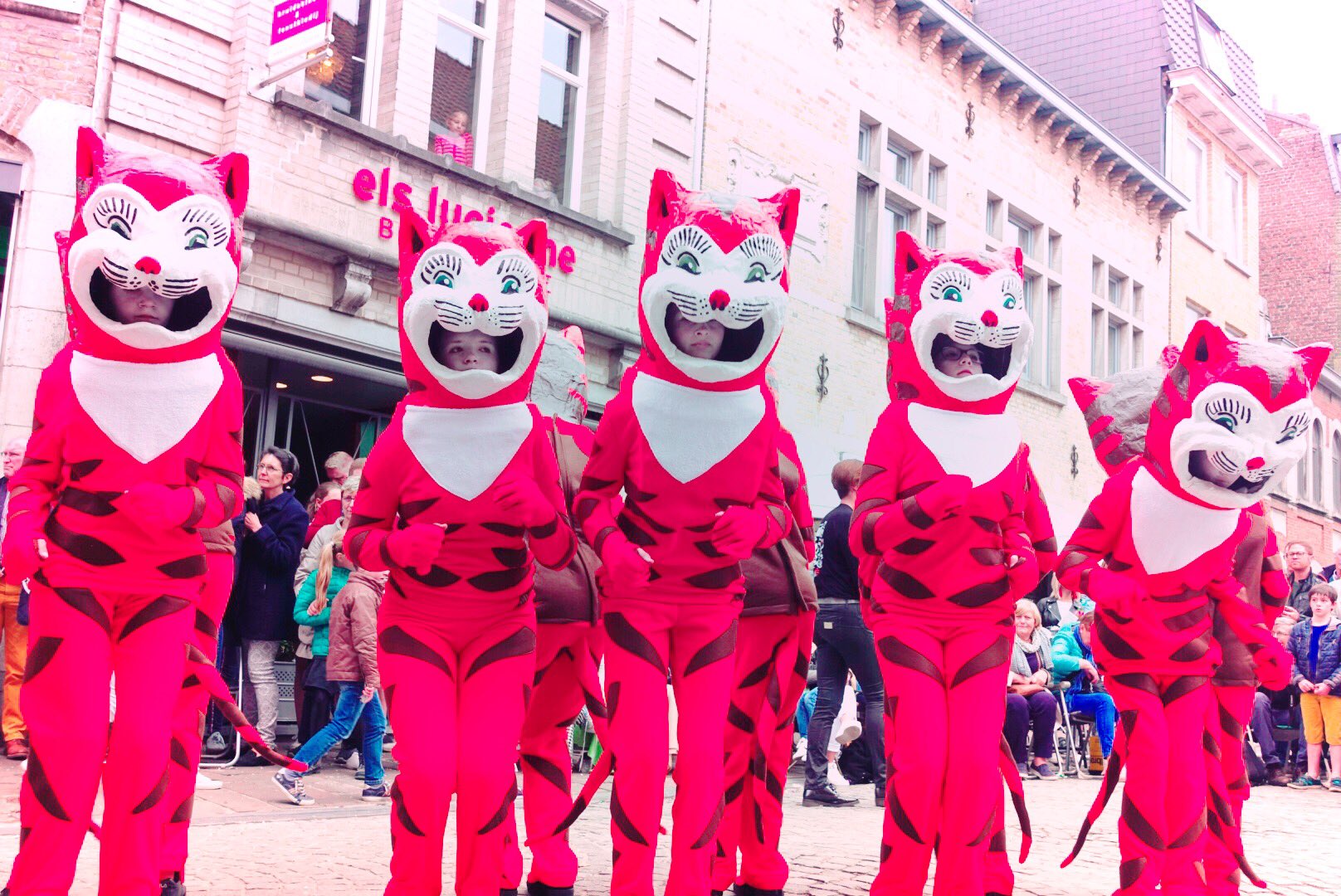 تويتر Noriko 駐在妻 على تويتر ベルギー 西部のイーペルで3年に一回開催される猫祭り パレードはクオリティ高いとは言い切れない 手作り感満載な感じが逆にホッコリ 猫 ネコ ねこ 猫祭り ベルギー 旅行 海外 海外旅行 写真 カメラ 旅