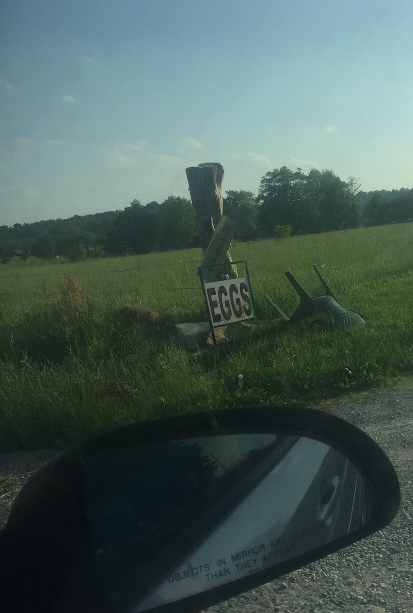 A sign for my favorite political candidate.