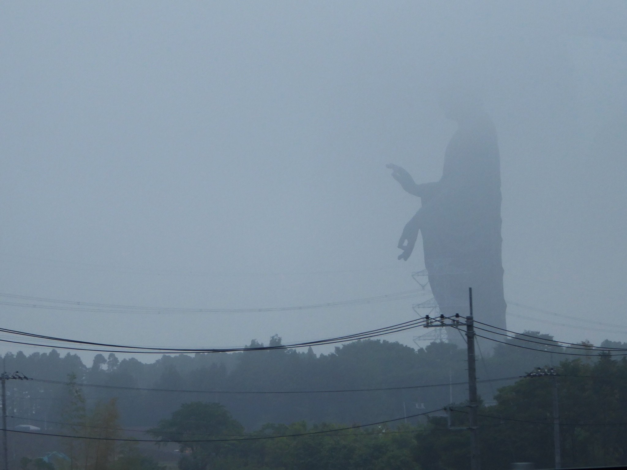 濃霧の中に何かいる 大きな影に驚いていたらどうやら大仏だった 話題の画像プラス