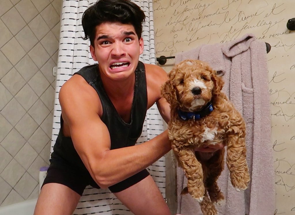 Alex wassabi dog