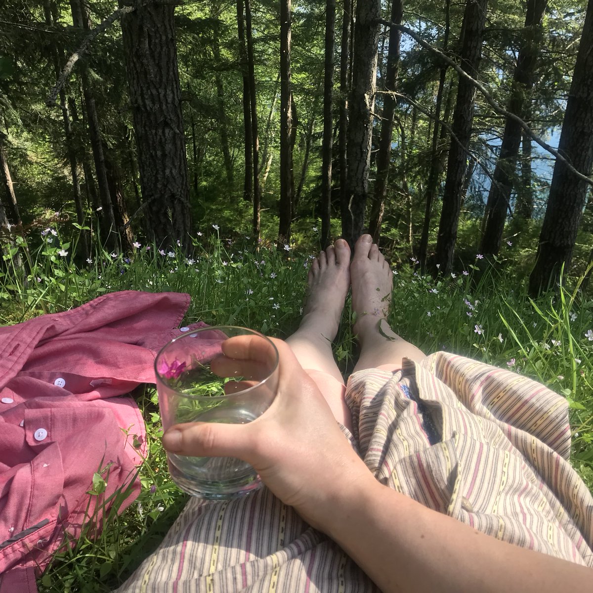 Maureen Evans tweet media