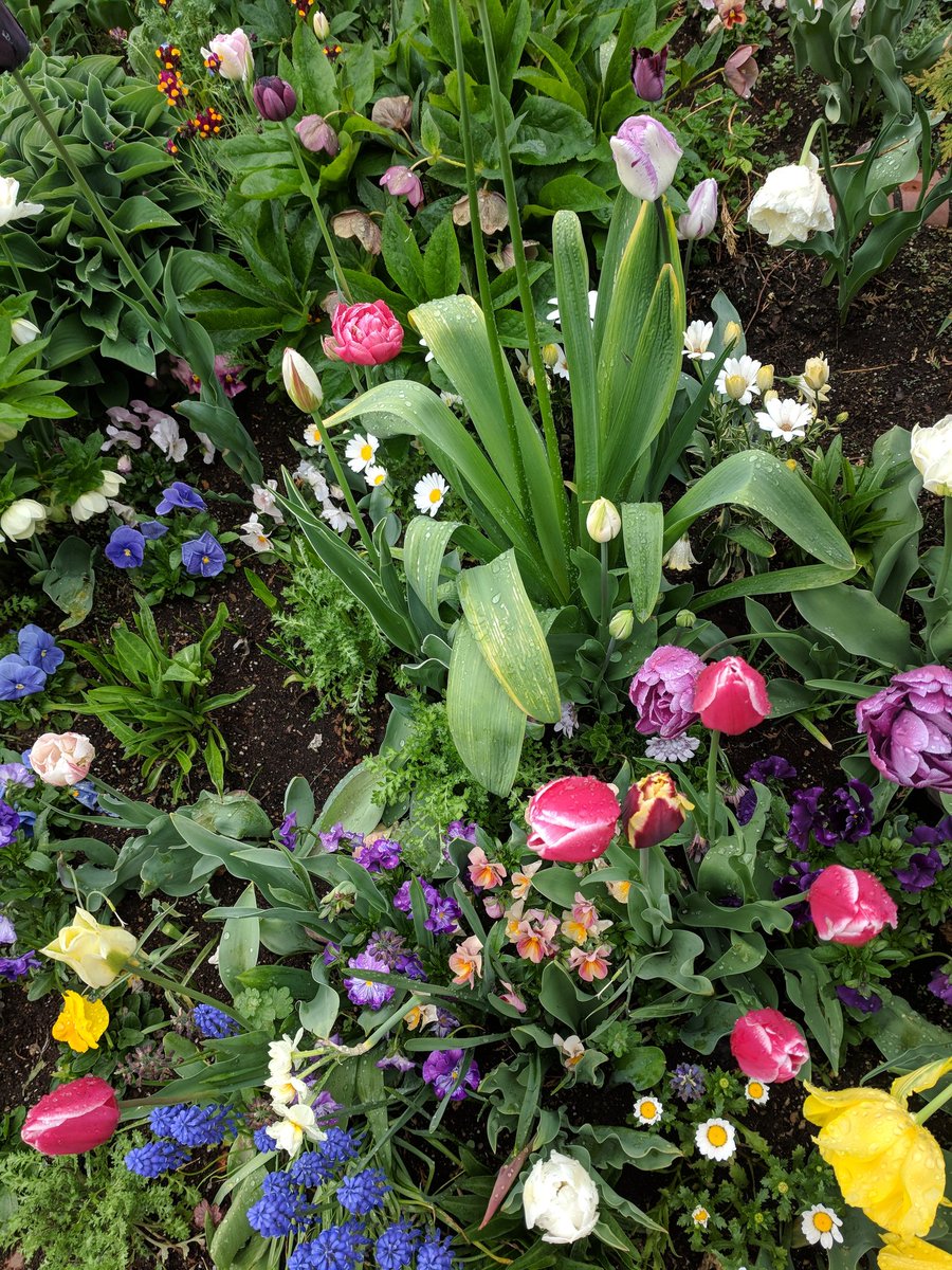 MaryEBrindle's tweet photo. #paps2018 meeting is underway. Spring in Sapporo is a great venue. @CAPSsurgeons and @APSASurgeons in Japan! Already strong work on the podium. https://t.co/hBFVJilo1m
