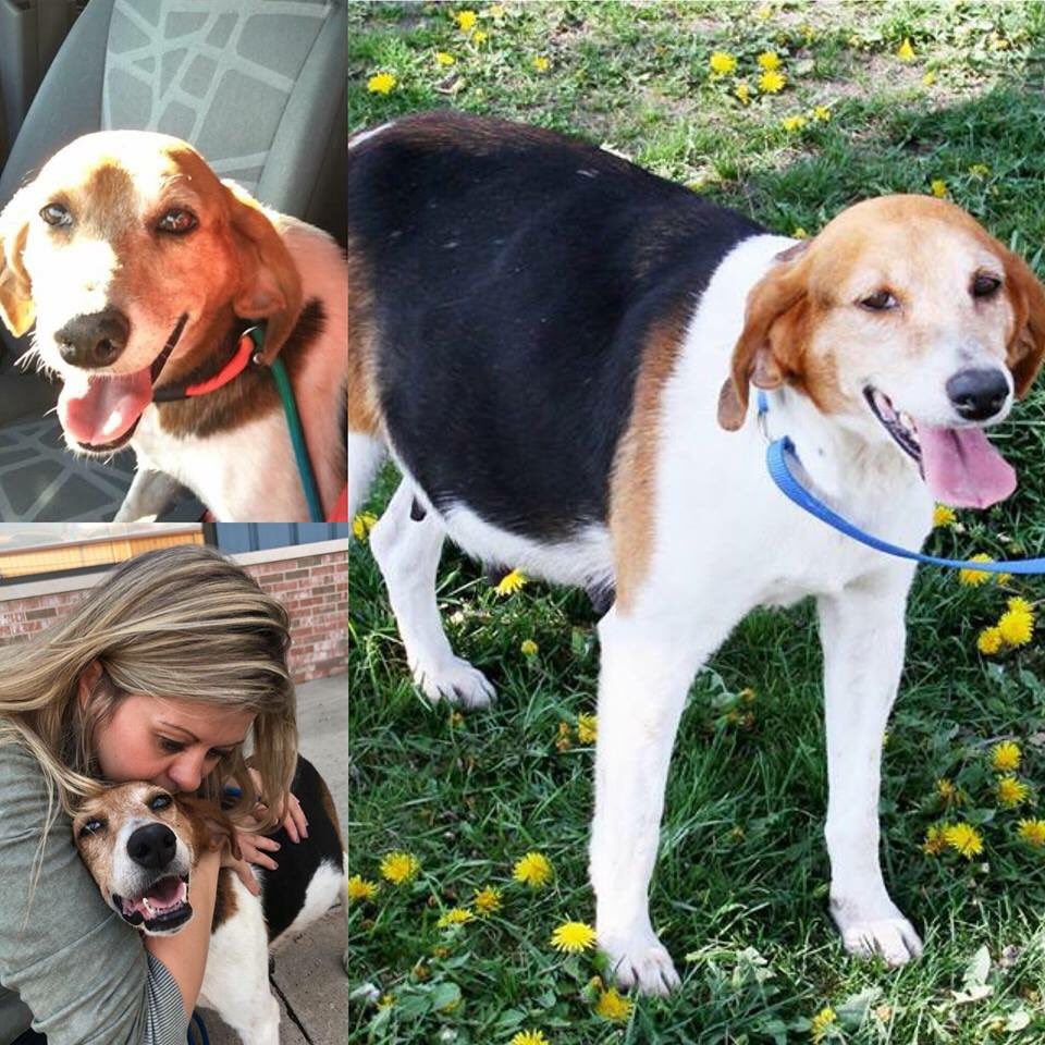 Welcome our new mamas! facebook.com/hopefultails/p…