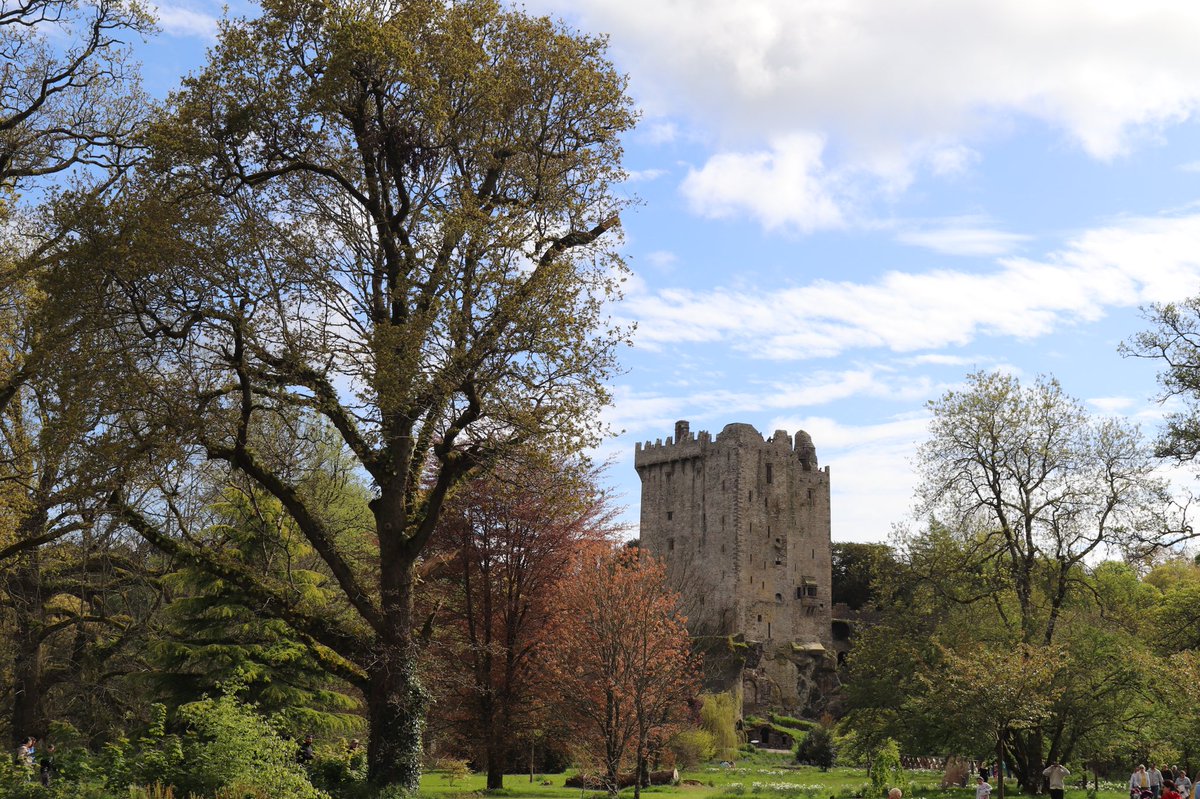 wjlkdy's tweet photo. Great day out in aid of @Cork_Simon today, weather was fine, and the buzz was great #blarneycastle #canonphotography #77d #discoverireland #corkphotos #cork_photos #failteireland #corkireland #corkexaminer #blarneycastlegardens #canon_photos #greatday #mycanon #rteweathercomp https://t.co/XtQ4V2x8BD