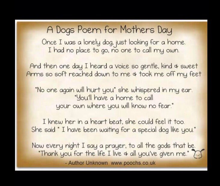 Happy Mother’s Day! 🌹