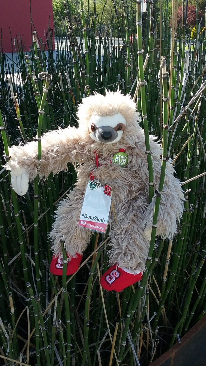 DebbieCurrie's tweet photo. Where is everyone? #DataSloth hanging around at @WSUPullman's #visitorcentor for the @USAIN_ORG fun to begin. @WSULibraries https://t.co/xITlKrelO4