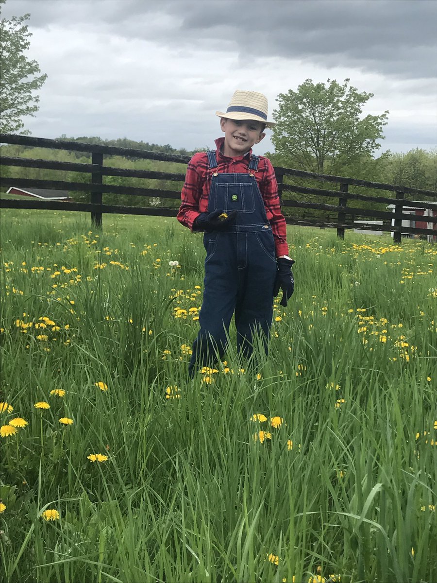 Hilarie Burton Morgan tweet media