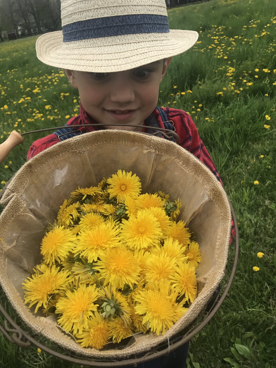 Hilarie Burton Morgan tweet media