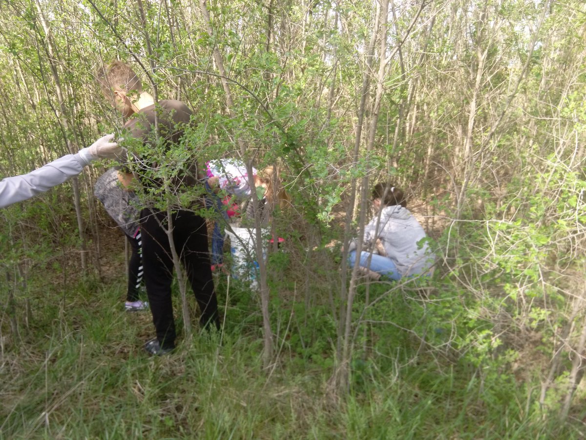 FoxK_98's tweet photo. Went to pond for ecosystem learning. Students could only focus on all the trash. So they went to work! #385edchat https://t.co/0BprQaajAZ