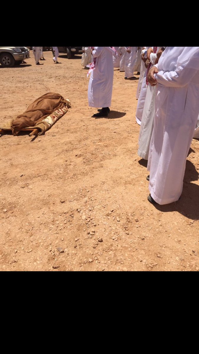 شفته رجع وقلت الله محييك 
وشلون جيت ورجعتك مستحيله 
فزيت واثره حلم والدمع يرثيك 
مرحوم يامن ذبحني رحيله..