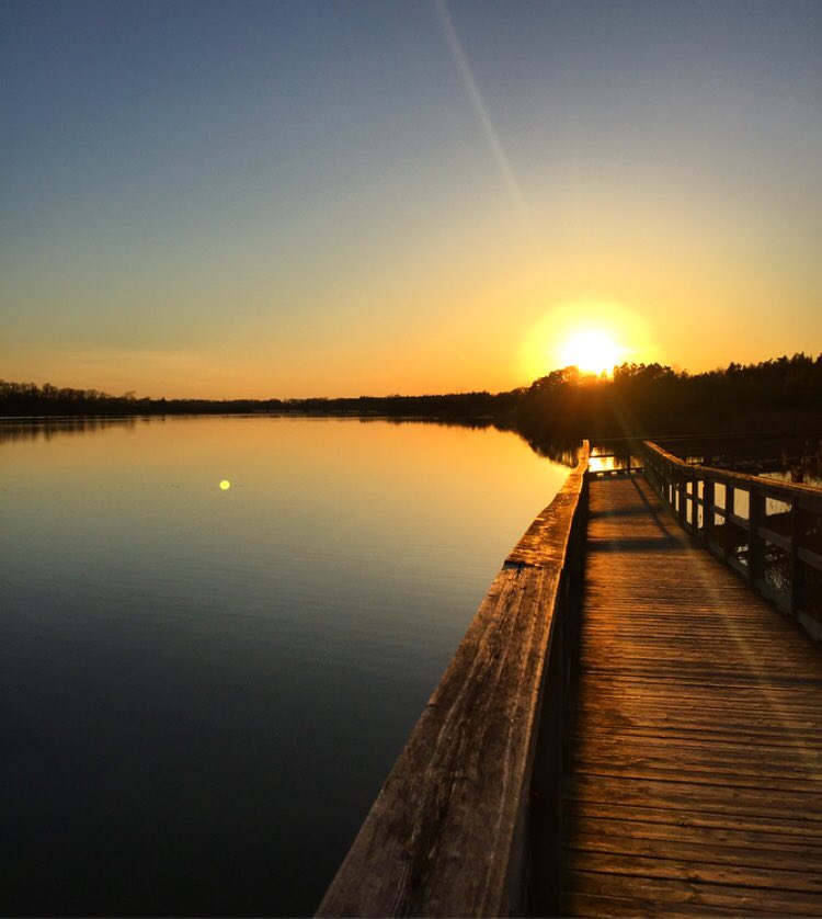 N_Savelli's tweet photo. Capping off the weekend with a relaxing stroll through the always beautiful #Thorold Ontario! #Niagaraishome #NiagaraLife #Nature #Mindfulness #Sunset https://t.co/JDmrcwa2GB