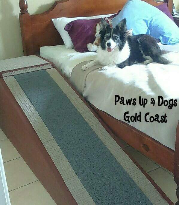 indiegogo doggoramps