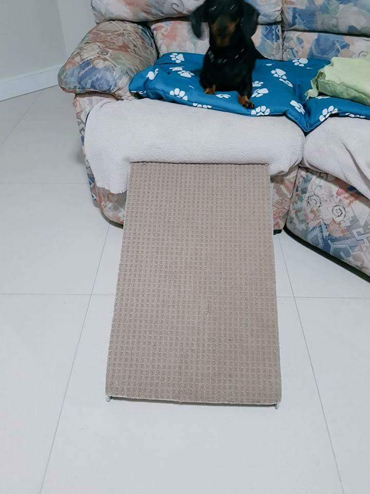 indiegogo doggoramps