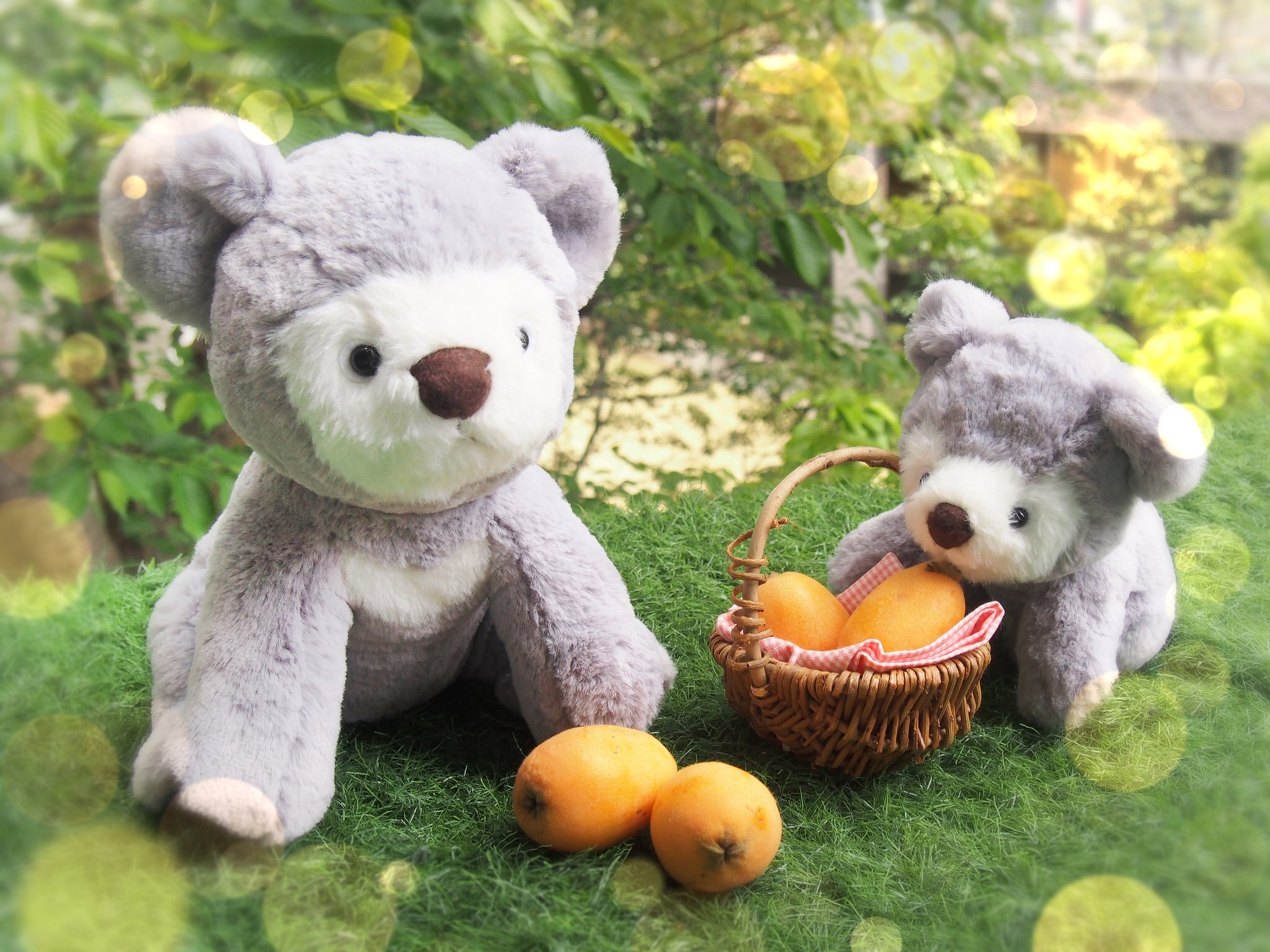 サン アロー びわをもぐもぐ ふわふわしていて優しい手触りの ふわふわted が新登場 詳しくはこちら ふわふわted S T Co Atl3gdgkl5 ふわふわted M T Co Xkotry7f ふわふわted くま ぬいぐるみ サンアロー ぬいどり ぬい