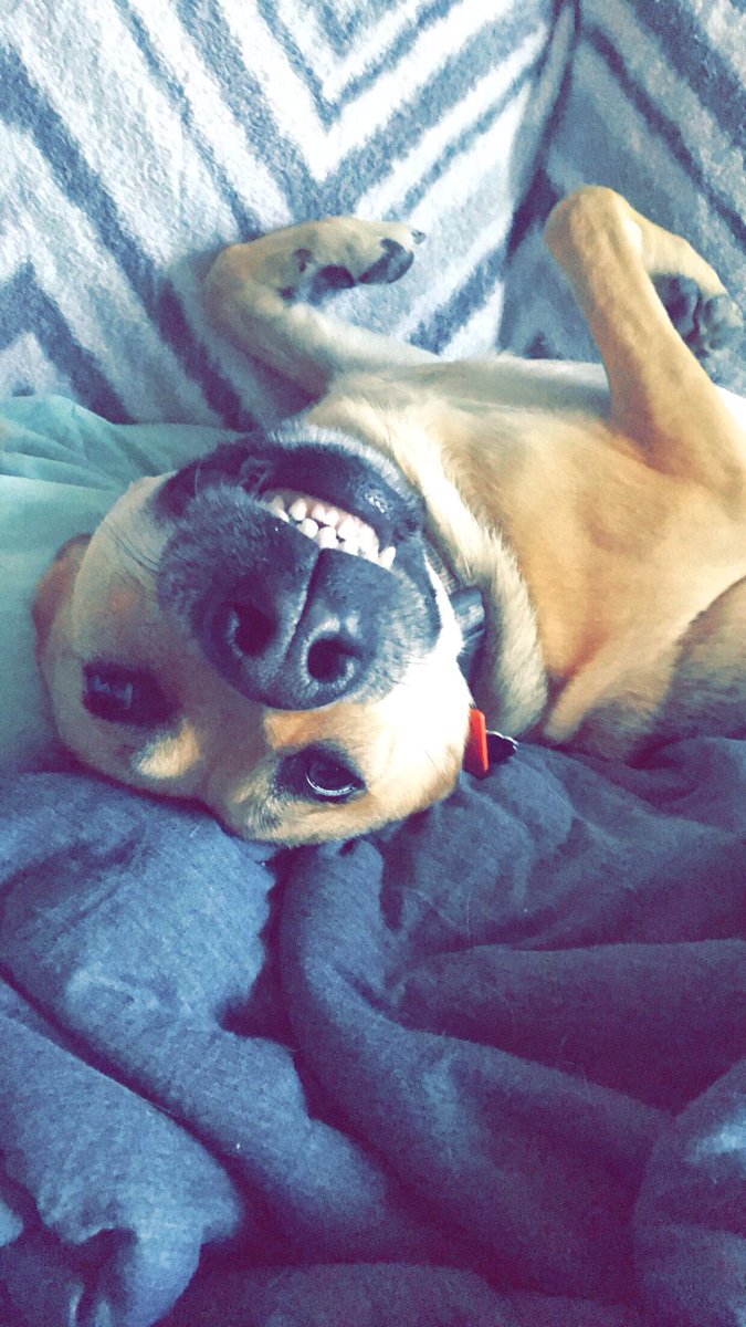 Emily Walker tweet media