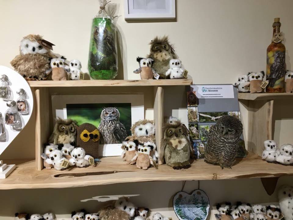 secretowlgarden's tweet photo. Spot the REAL OWL #MondayFunday  #owls #findtheowls #Pembrokeshire #Wales #FamilyFriendly #babyowls @Sir_Benfro @WelshBiz https://t.co/ViMqRcvJaQ