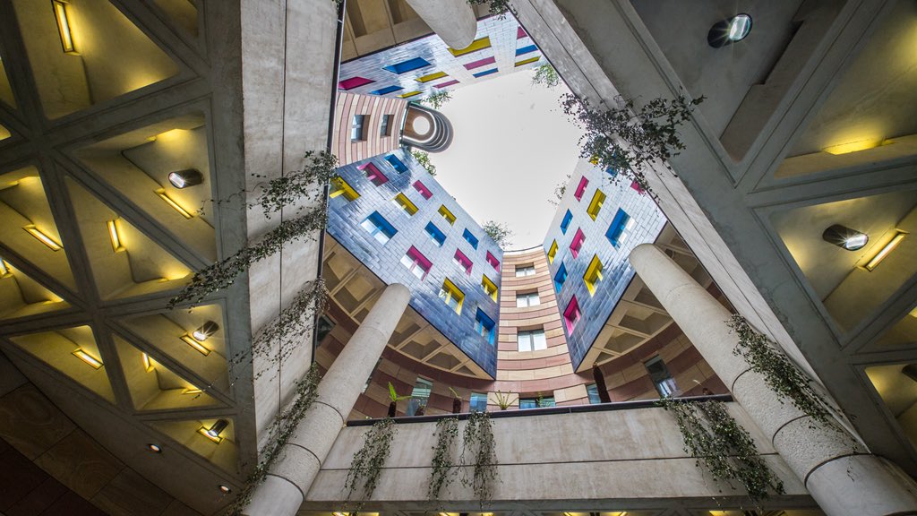 Joseph O'Meara tweet media