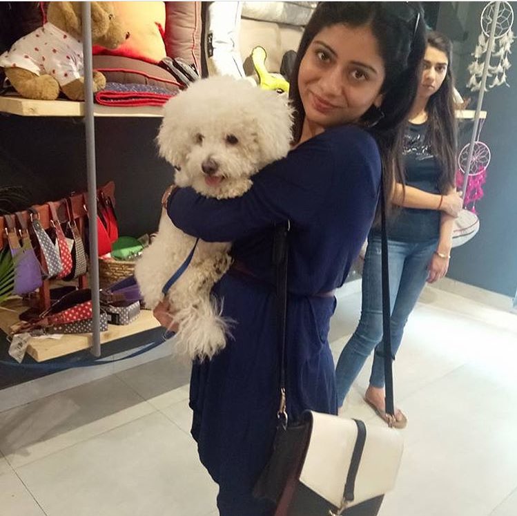 poochmate's tweet photo. A big thank you to all doggie moms and doggos for coming and being part of our Mothers Day event.
Much love to all of you. Dog moms are indeed the BEST moms in the world ! .
.
#mothersday #happymothersday #dogmom #dogdad #petparents #dogs #poochmate https://t.co/Enw3qFxJUt