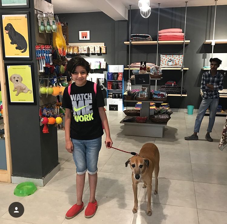 poochmate's tweet photo. A big thank you to all doggie moms and doggos for coming and being part of our Mothers Day event.
Much love to all of you. Dog moms are indeed the BEST moms in the world ! .
.
#mothersday #happymothersday #dogmom #dogdad #petparents #dogs #poochmate https://t.co/Enw3qFxJUt