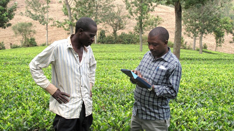 grainedunaturel's tweet photo. Le nouveau projet #Data4Ag du CTA ouvre de nouvelle porte à des services Grâce à l’enregistrement &amp; au profilage, les agriculteurs ont accès à de nouveaux marchés et services financiers en #Ouganda: https://t.co/D3TzYM5EvC  https://t.co/i8clC6Ux4I