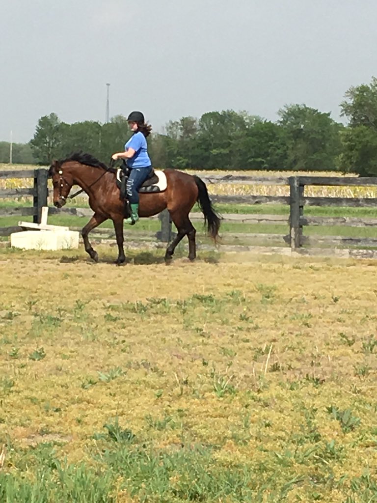 Gerber7Beth's tweet photo. The kid loves the horse.  #4H https://t.co/h7kzSRjlHP