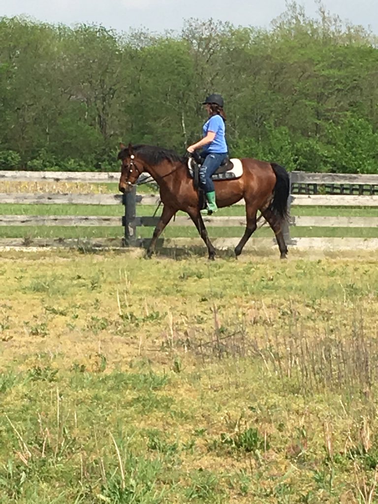 Gerber7Beth's tweet photo. The kid loves the horse.  #4H https://t.co/h7kzSRjlHP