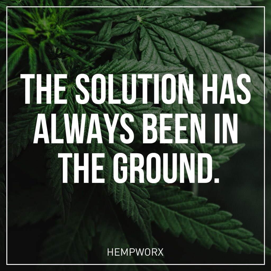 sfmccartney's tweet photo. Options and aid for all. https://t.co/bII9bha85n #cbd #CBDoil #oil #thc #thcfree #cbdcream #hempworx #hempoil #hempseed #spectrum #aid #health #humans #petscbd #savinglives #help https://t.co/svL6MWQRAj