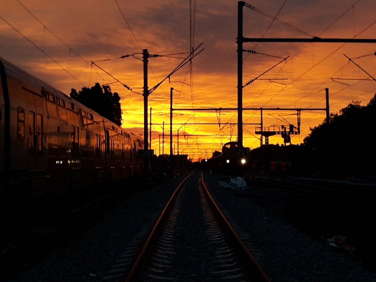 Damien N tweet media