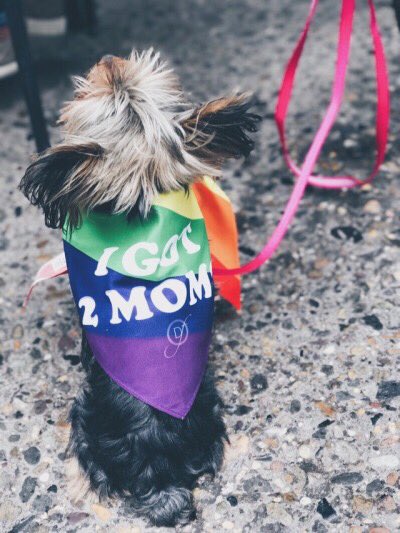 Boycott Bar tweet media