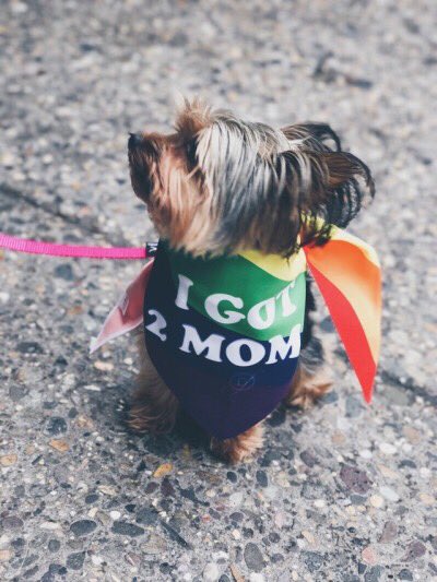 Boycott Bar tweet media