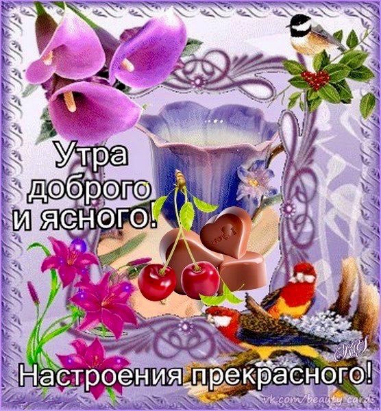 Открытки с добрым утром прекрасного дня хорошего настроения
