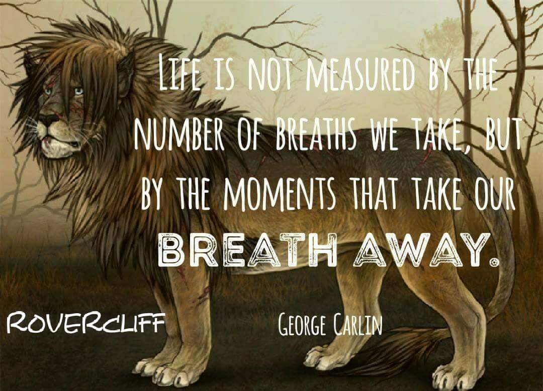 RoversCliff's tweet photo. #monday #morning #kickstart #motivation #rovercliff #evenwecan https://t.co/rM9tX5c0rB