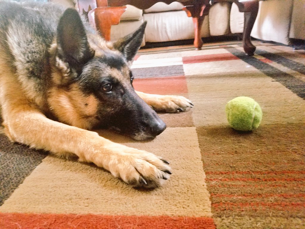 AthenaFroska's tweet photo. Waiting like a good girl! https://t.co/X5CBKzgjWl