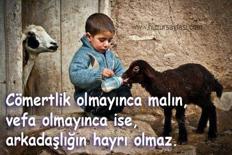 TeKiN KaRaOğLaN (@karaoglantekin) on Twitter photo 