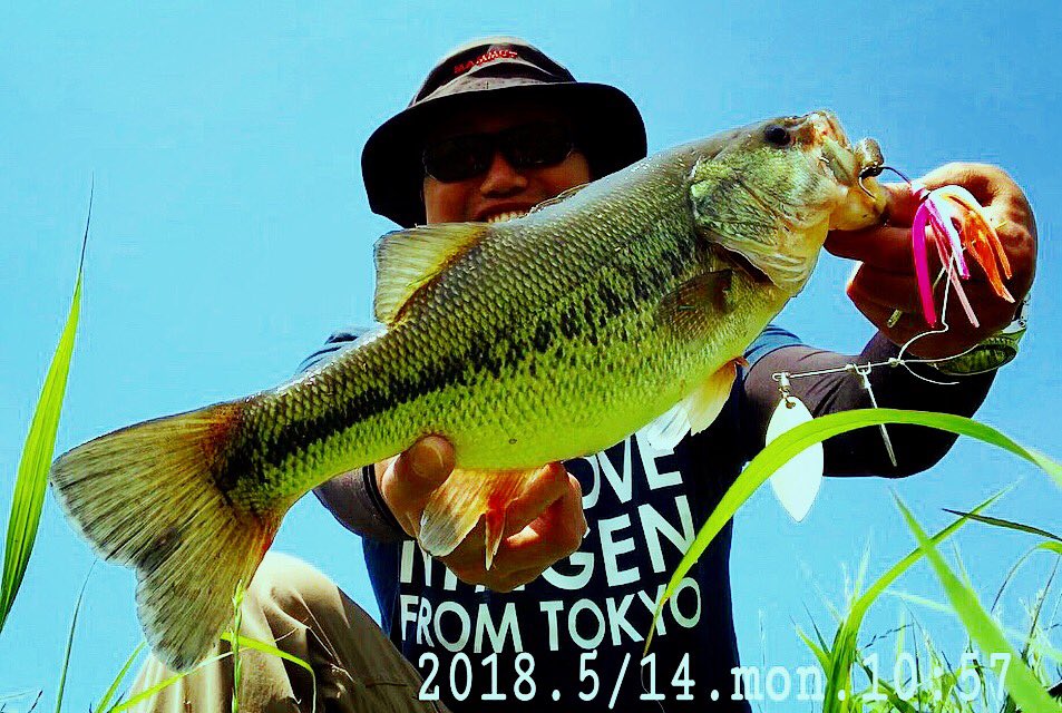 roskilde3139's tweet photo. ひゃっほぅ!
岸沿いベッタベタにレベルスピン!
#レベルスピン #レイドジャパン
#嘉瀬川 #バス釣り #ブラックバス
#angler #bassfishing #blackbass
#antares #strada
#levelspin #raidjapan #spinnerbait
#backtobasics https://t.co/NKXvTJ6aNW