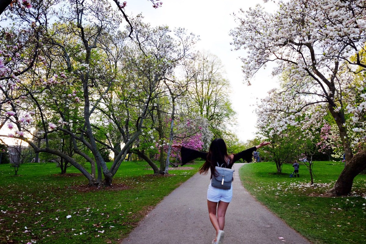 ivanahtannica's tweet image. #latecheckin (@ Lilac Festival - @roclilacfest in Rochester, NY) swarmapp.com/c/2kKyOluzl2u