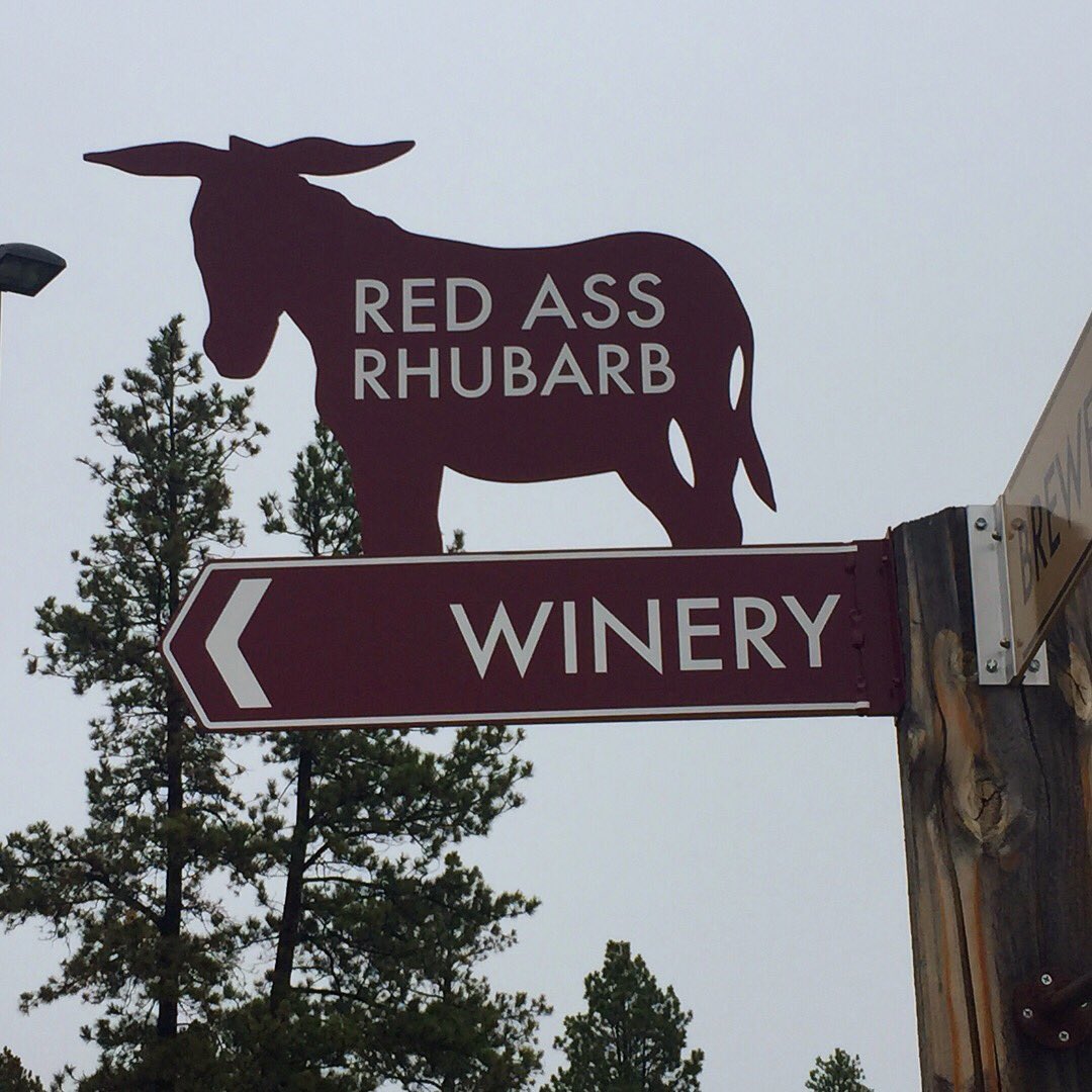 TravelingNess's tweet photo. Yes you read that right, Red Ass Rhubarb wine! Quite yummy! 😋 Loved wine tasting in the Black Hills of #SouthDakota ... #prairieberry #wine #travels @PrairieBerry https://t.co/6XqyDv9hld
