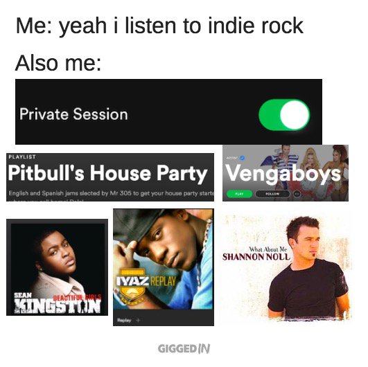 no shame. #meme #musicmemes #shannonnoll