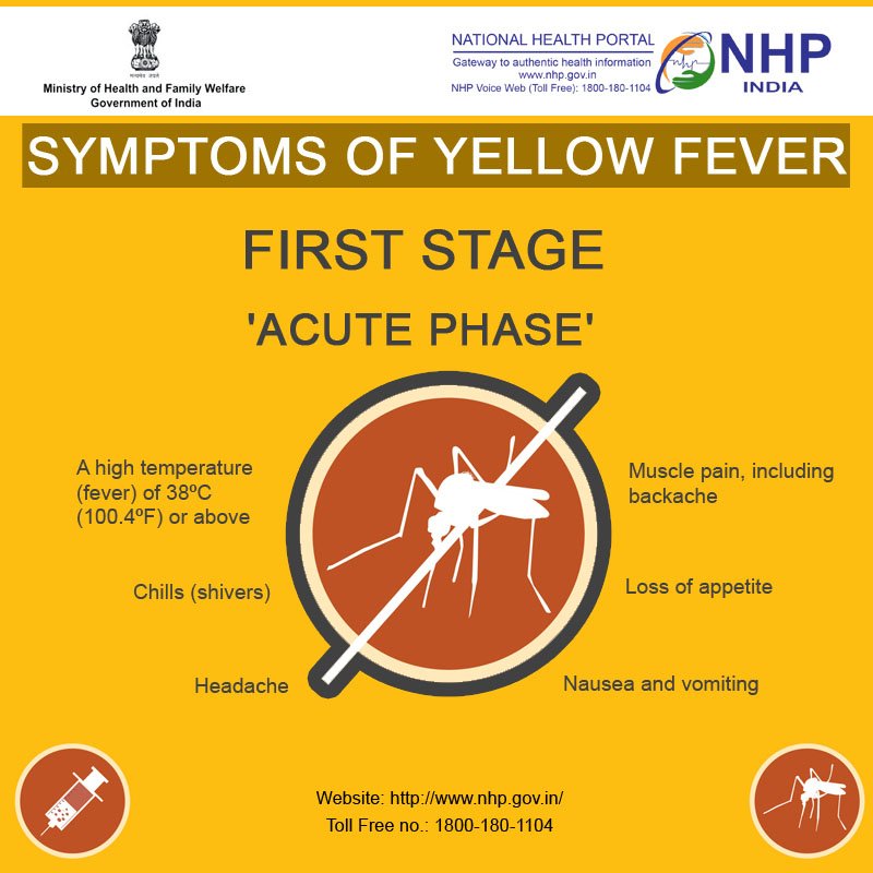 NHPINDIA's tweet photo. Read and know about the symptoms of yellow fever.
Visit to know more: https://t.co/VrvSE3S11i
#SwasthaBharat #NHPIndia #HealthForAll https://t.co/Xovnbh5QaJ